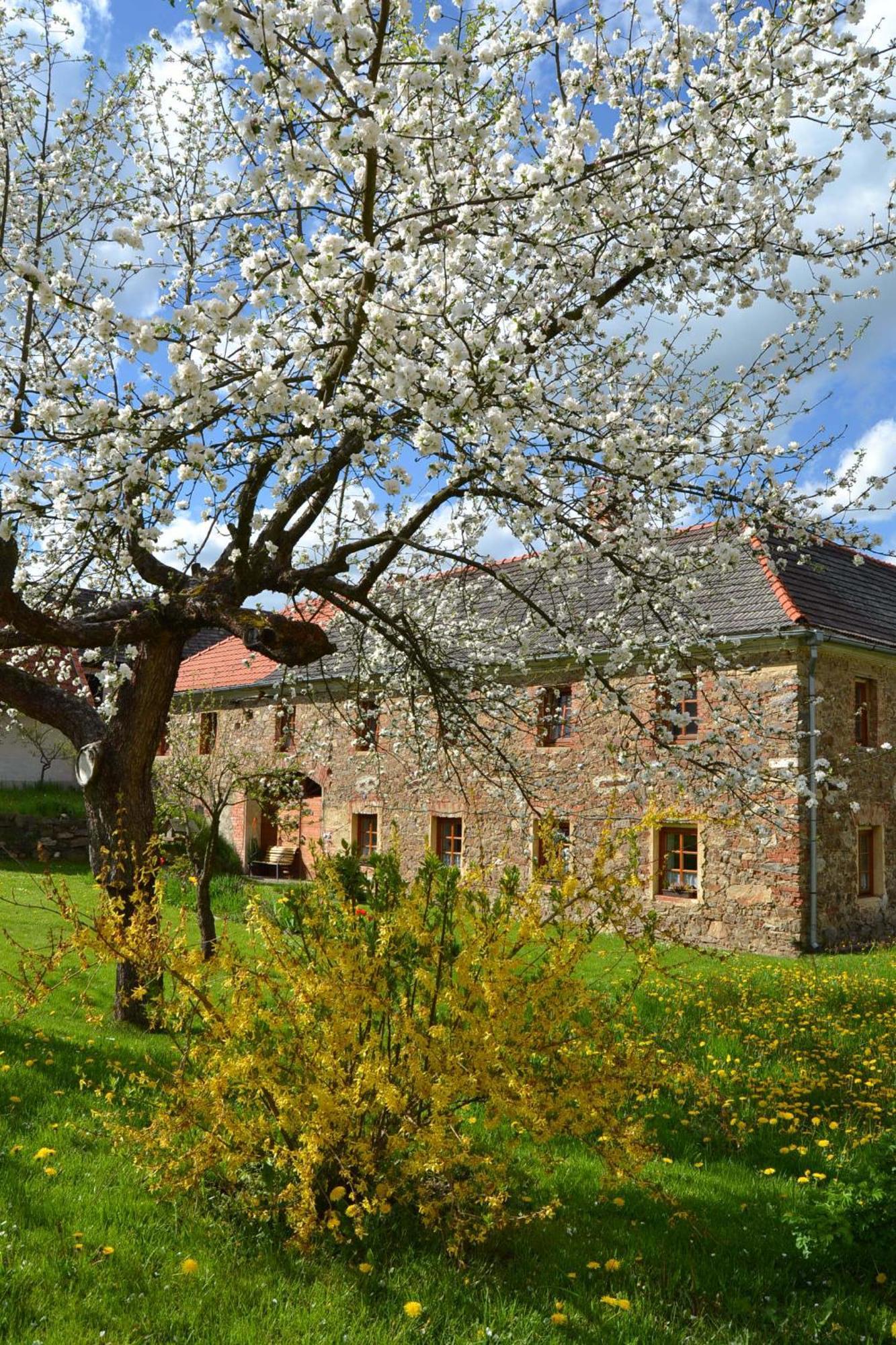 Selsky Dvur Apartment